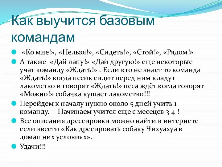 Как выучится базовым командам «Ко мне!», «Нельзя!», «Сидеть!», «Стой!», «Рядом!» А