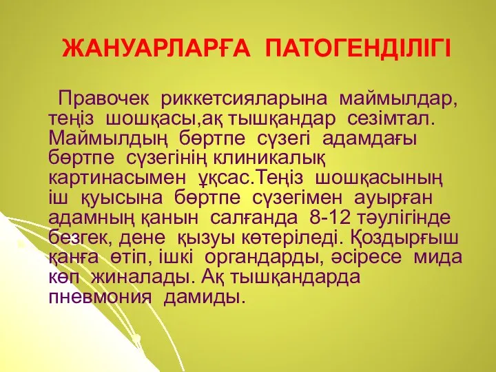 ЖАНУАРЛАРҒА ПАТОГЕНДІЛІГІ Правочек риккетсияларына маймылдар,теңіз шошқасы,ақ тышқандар сезімтал.Маймылдың бөртпе сүзегі адамдағы