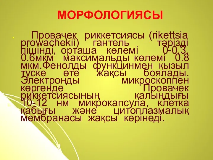 МОРФОЛОГИЯСЫ Провачек риккетсиясы (rikettsia prowachekii) гантель тәрізді пішінді, орташа көлемі 0-0.3,