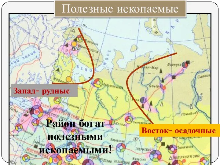 Полезные ископаемые Запад- рудные Восток- осадочные Район богат полезными ископаемыми!