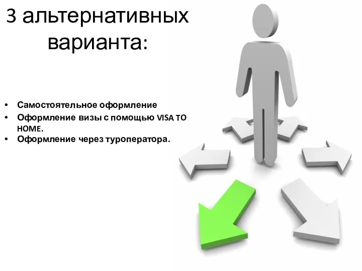 3 альтернативных варианта: Самостоятельное оформление Оформление визы с помощью VISA TO HOME. Оформление через туроператора.