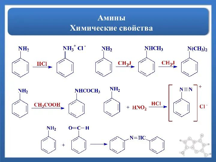 Амины Химические свойства