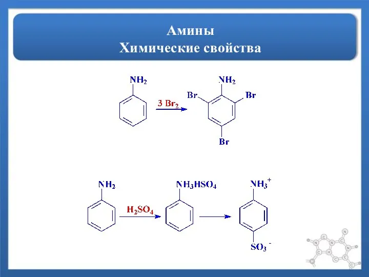 Амины Химические свойства