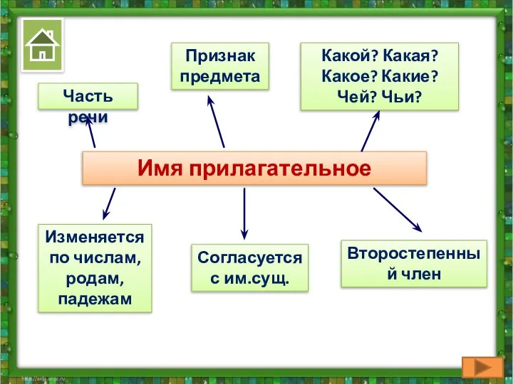 Имя прилагательное Часть речи Признак предмета Какой? Какая? Какое? Какие? Чей?