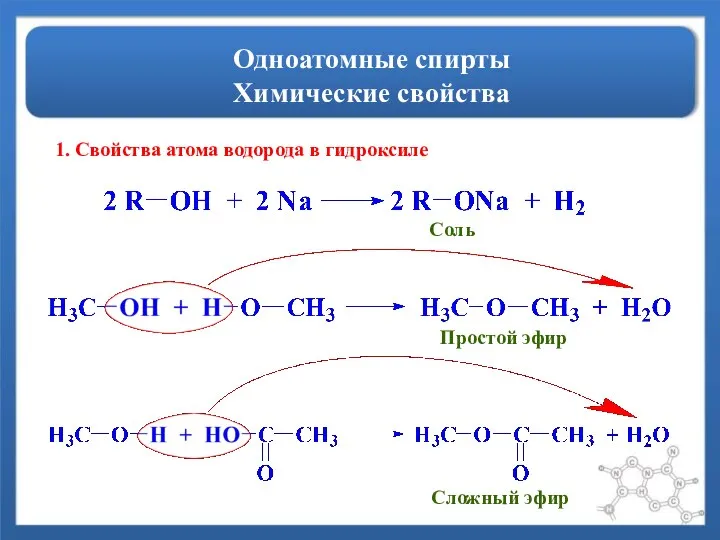 Одноатомные спирты Химические свойства 1. Свойства атома водорода в гидроксиле Соль Простой эфир Сложный эфир