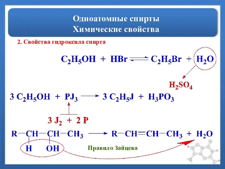 Одноатомные спирты Химические свойства 2. Свойства гидроксила спирта Правило Зайцева