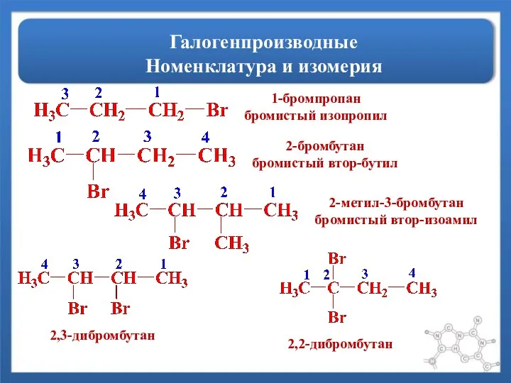 Галогенпроизводные Номенклатура и изомерия 1-бромпропан бромистый изопропил 2-бромбутан бромистый втор-бутил 2-метил-3-бромбутан бромистый втор-изоамил 2,3-дибромбутан 2,2-дибромбутан