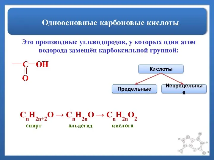 Одноосновные карбоновые кислоты Это производные углеводородов, у которых один атом водорода