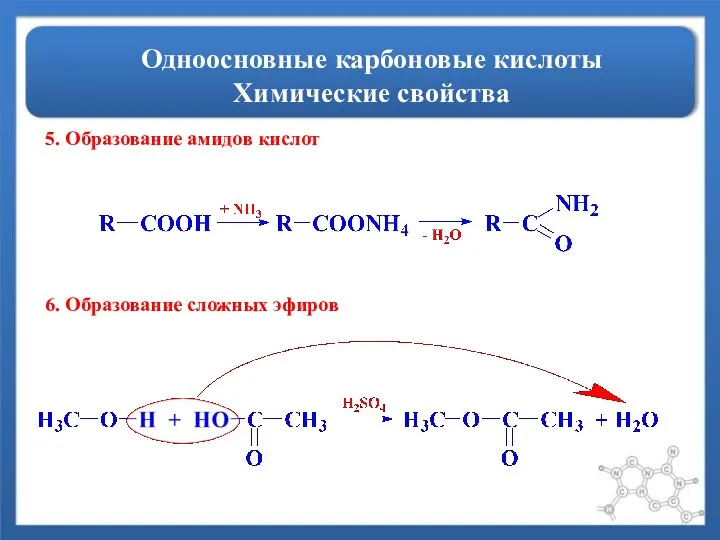 Одноосновные карбоновые кислоты Химические свойства 5. Образование амидов кислот 6. Образование сложных эфиров