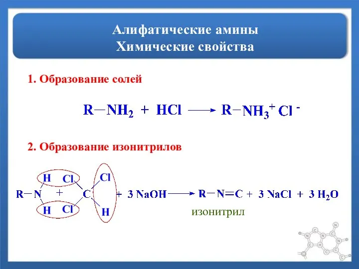 Алифатические амины Химические свойства 1. Образование солей 2. Образование изонитрилов изонитрил