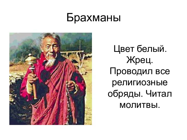 Брахманы Цвет белый. Жрец. Проводил все религиозные обряды. Читал молитвы.