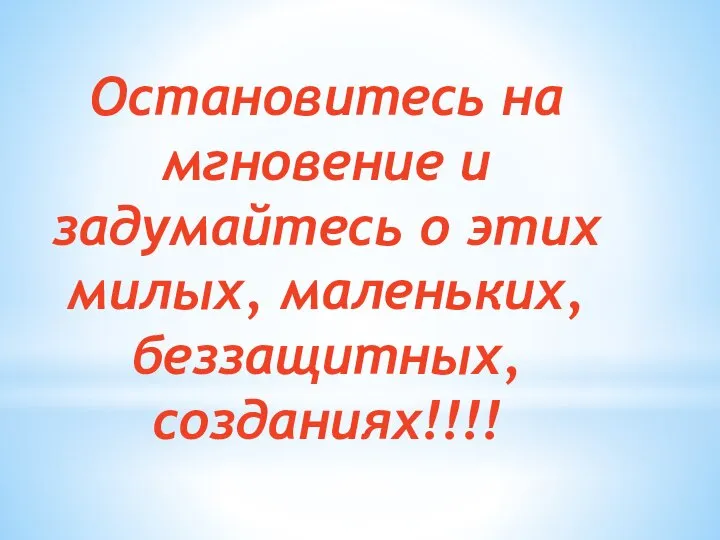 Остановитесь на мгновение и задумайтесь о этих милых, маленьких, беззащитных, созданиях!!!!