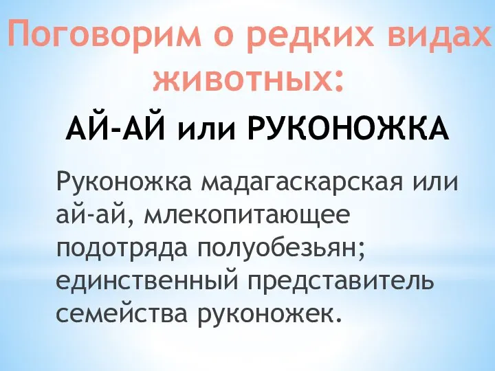 Поговорим о редких видах животных: АЙ-АЙ или РУКОНОЖКА Руконожка мадагаскарская или