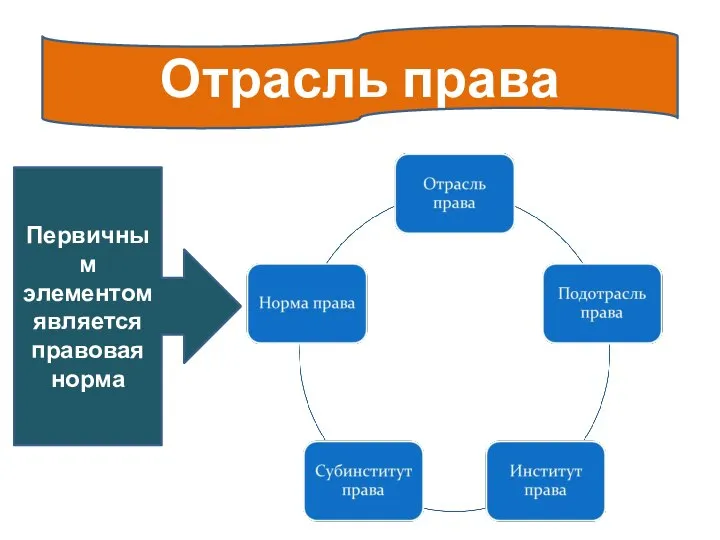 Отрасль права Первичным элементом является правовая норма