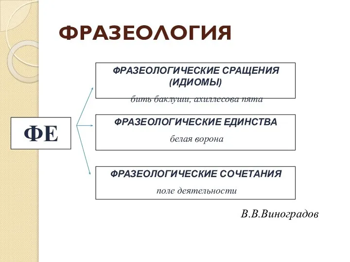 ФРАЗЕОЛОГИЯ ФРАЗЕОЛОГИЧЕСКИЕ СРАЩЕНИЯ (ИДИОМЫ) бить баклуши, ахиллесова пята ФРАЗЕОЛОГИЧЕСКИЕ ЕДИНСТВА белая