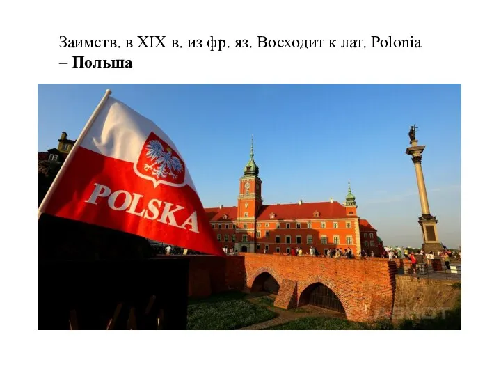 Заимств. в XIX в. из фр. яз. Восходит к лат. Polonia – Польша