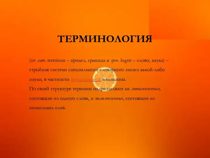 ТЕРМИНОЛОГИЯ (от лат. terminus – предел, граница и греч. logos –