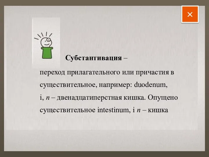 Cубстантивация – переход прилагательного или причастия в существительное, например: duodenum, i,