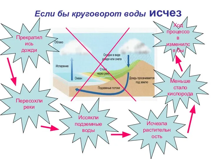 Ход процессов изменился бы Меньше стало кислорода Исчезла растительность Иссякли подземные