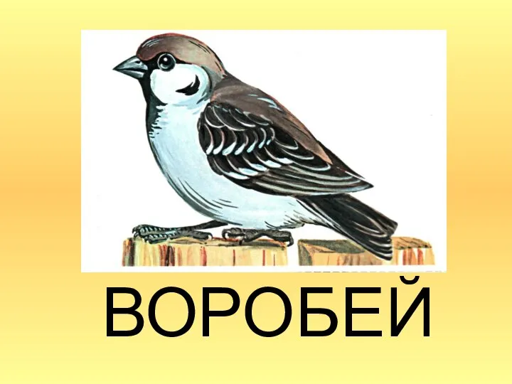 ВОРОБЕЙ