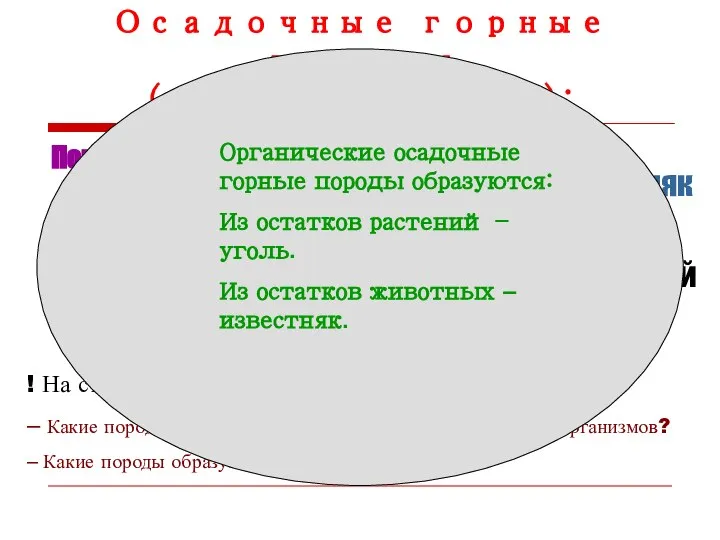 Осадочные горные породы (органические): Породы органического происхождения образуются из остатков живых