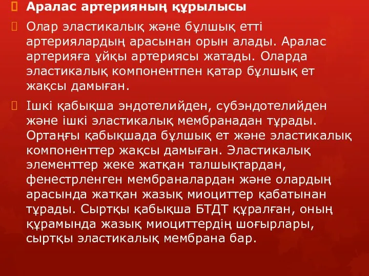 Аралас артерияның құрылысы Олар эластикалық және бұлшық етті артериялардың арасынан орын