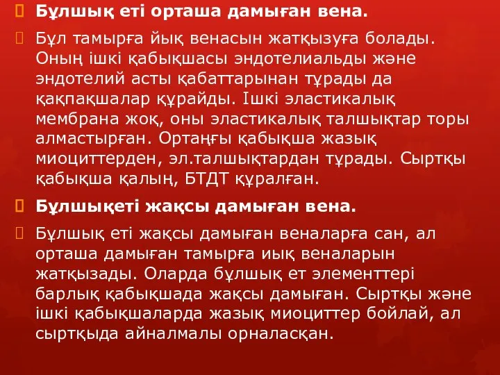 Бұлшық еті орташа дамыған вена. Бұл тамырға йық венасын жатқызуға болады.