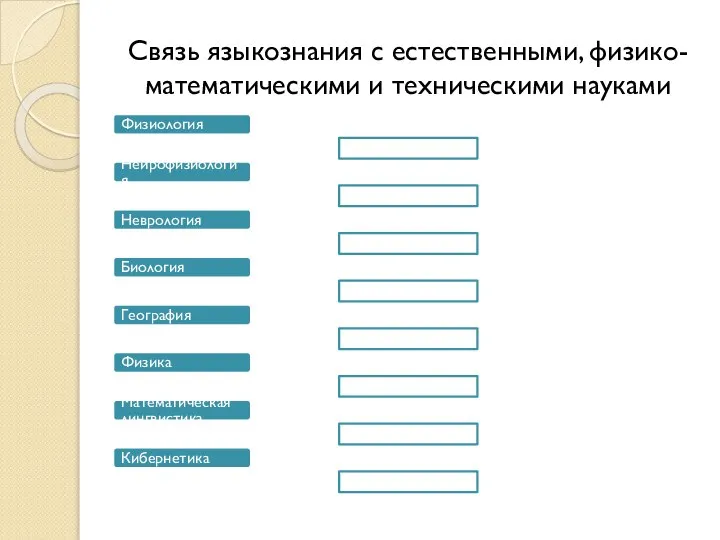 Связь языкознания с естественными, физико- математическими и техническими науками Физиология Нейрофизиология