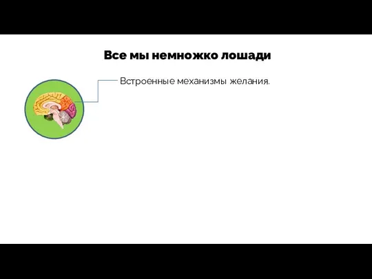 Встроенные механизмы желания. Все мы немножко лошади