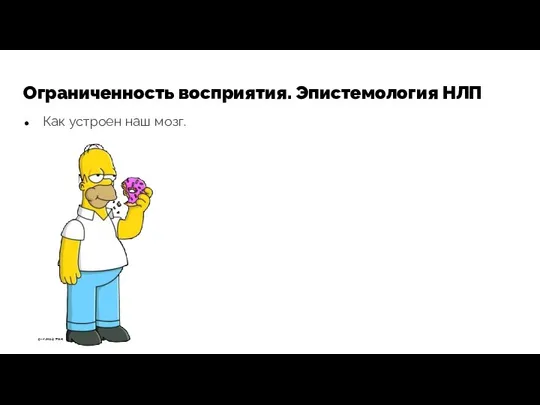 Ограниченность восприятия. Эпистемология НЛП Как устроен наш мозг.