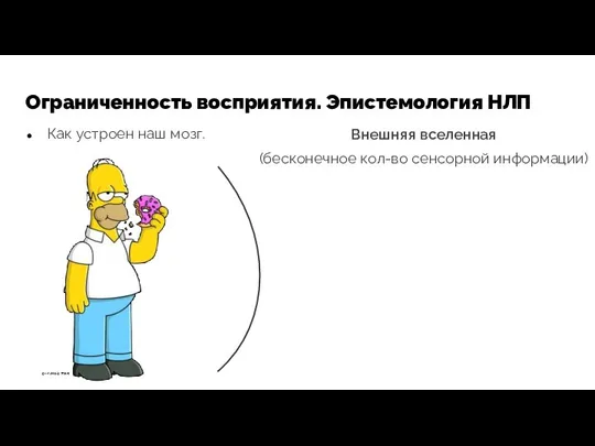 Ограниченность восприятия. Эпистемология НЛП Как устроен наш мозг. Внешняя вселенная (бесконечное кол-во сенсорной информации)