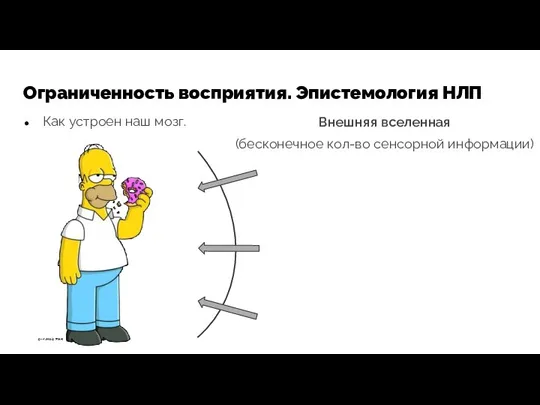 Ограниченность восприятия. Эпистемология НЛП Как устроен наш мозг. Внешняя вселенная (бесконечное кол-во сенсорной информации)