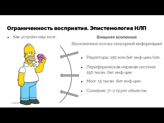 Ограниченность восприятия. Эпистемология НЛП Как устроен наш мозг. Внешняя вселенная (бесконечное