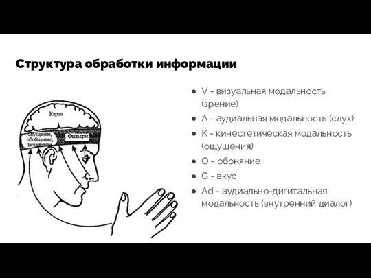 Структура обработки информации V - визуальная модальность (зрение) A - аудиальная