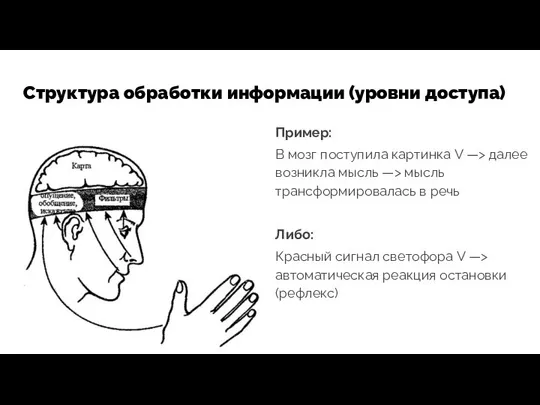 Структура обработки информации (уровни доступа) Пример: В мозг поступила картинка V