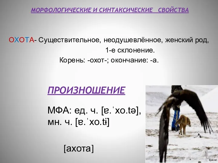 МОРФОЛОГИЧЕСКИЕ И СИНТАКСИЧЕСКИЕ СВОЙСТВА ОХОТА- Существительное, неодушевлённое, женский род, 1-е склонение.