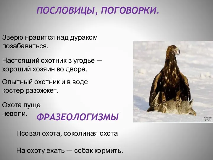 ПОСЛОВИЦЫ, ПОГОВОРКИ. Зверю нравится над дураком позабавиться. Настоящий охотник в угодье