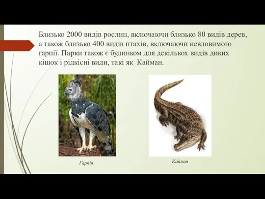 Близько 2000 видів рослин, включаючи близько 80 видів дерев, а також