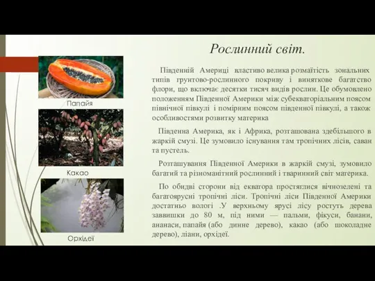 Рослинний світ. Південній Америці властиво велика розмаїтість зональних типів грунтово-рослинного покриву