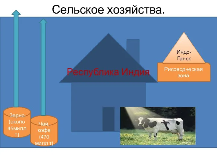 Сельское хозяйства. Республика Индия Зерно (около 45милл т) Чай,кофе (470 милл т) Рисоводческая зона Индо-Ганск