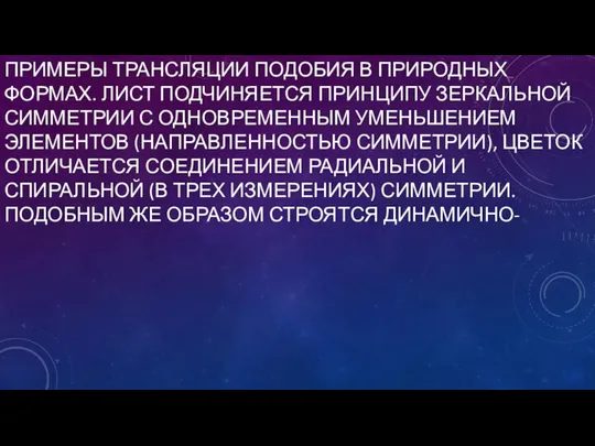 ПРИМЕРЫ ТРАНСЛЯЦИИ ПОДОБИЯ В ПРИРОДНЫХ ФОРМАХ. ЛИСТ ПОДЧИНЯЕТСЯ ПРИНЦИПУ ЗЕРКАЛЬНОЙ СИММЕТРИИ