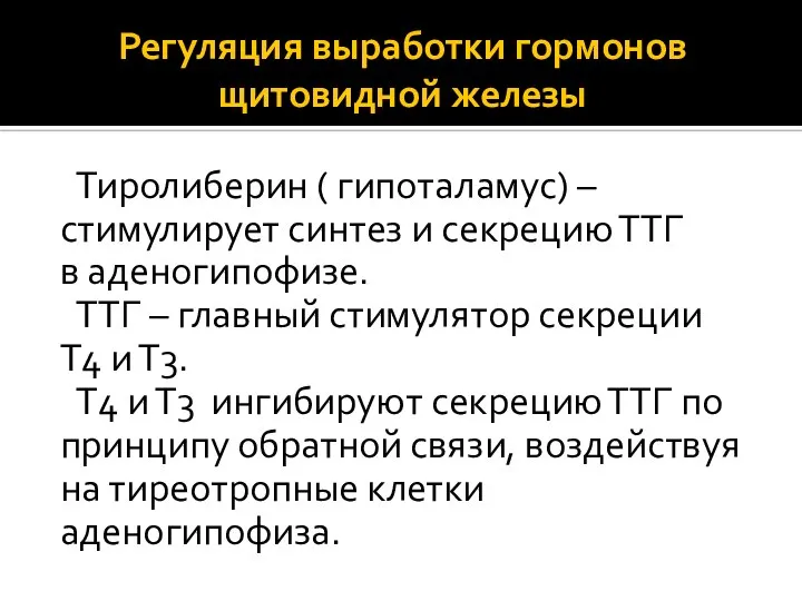 Регуляция выработки гормонов щитовидной железы Тиролиберин ( гипоталамус) – стимулирует синтез