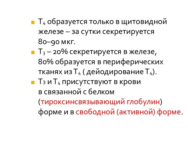 Т4 образуется только в щитовидной железе – за сутки секретируется 80–90