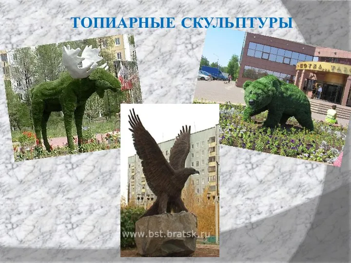 ТОПИАРНЫЕ СКУЛЬПТУРЫ