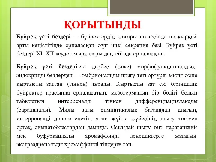 ҚОРЫТЫНДЫ Бүйрек үсті бездері — бүйректердің жоғары полюсінде шажырқай арты кеңістігінде