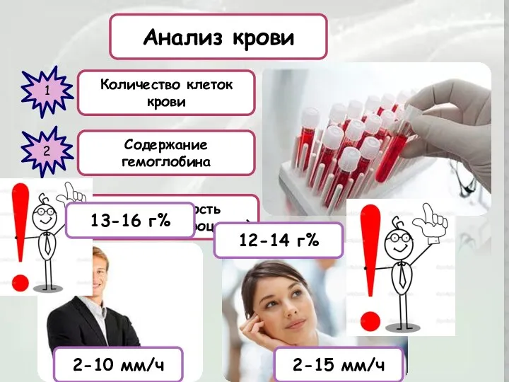 Анализ крови 1 Количество клеток крови 2 Содержание гемоглобина 3 СОЭ