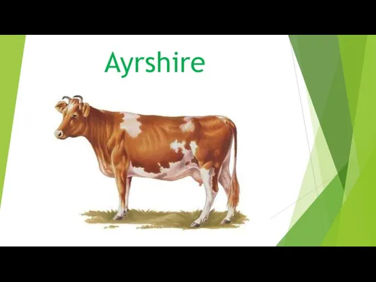Ayrshire. Scotland the 18th century