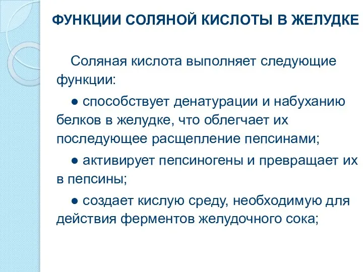 Соляная кислота выполняет следующие функции: ● способствует денатурации и набуханию белков