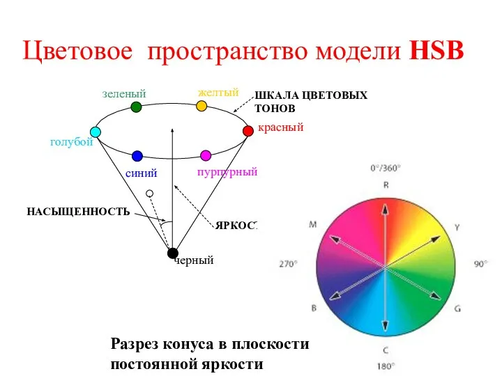 Цветовое пространство модели HSB Разрез конуса в плоскости постоянной яркости