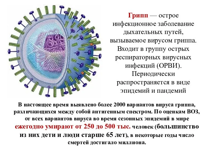 Грипп — острое инфекционное заболевание дыхательных путей, вызываемое вирусом гриппа. Входит